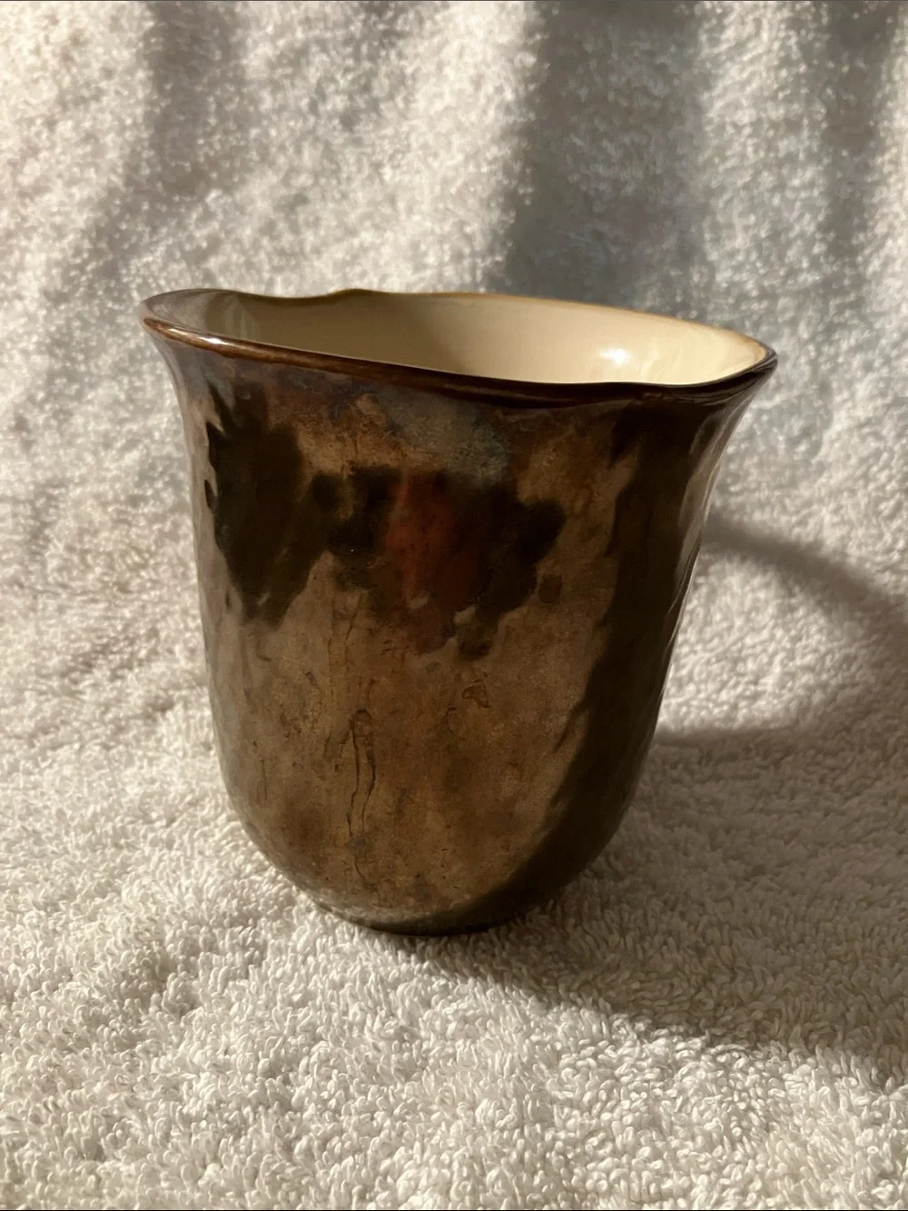 Pier 1 Metallic Bronze Mug